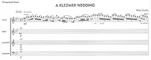 Mike Curtis: A Klezmer Wedding