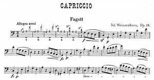 Julius Weissenborn:  Capriccio Op 14