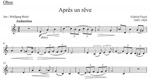 Gabriel Faur�: Apr�s Un R�ve