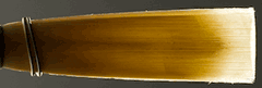 Reeds